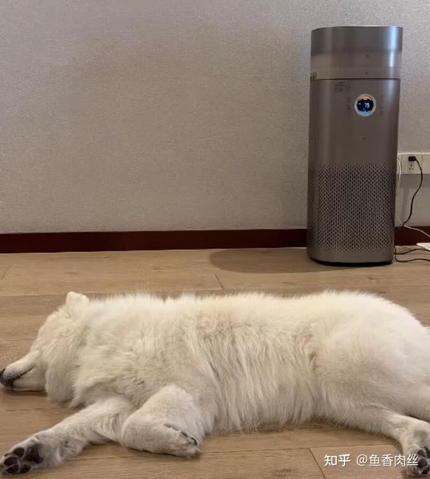 空气净化器、加湿器都是智商税?一台美的RX600 ProH空气净化加湿器就能get颠覆想象的舒适呼吸体验!