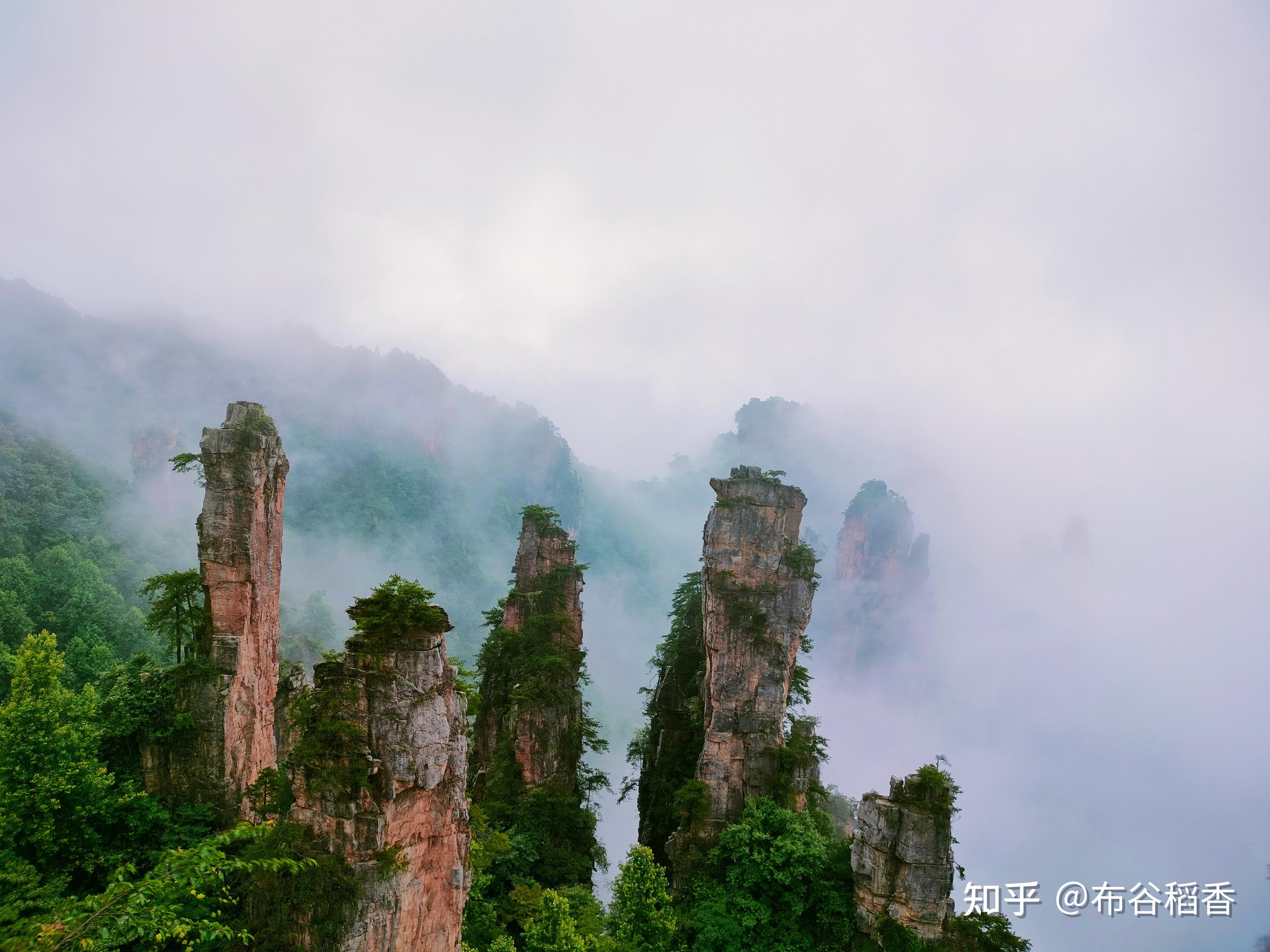 张家界森林公园几月份去景色最美