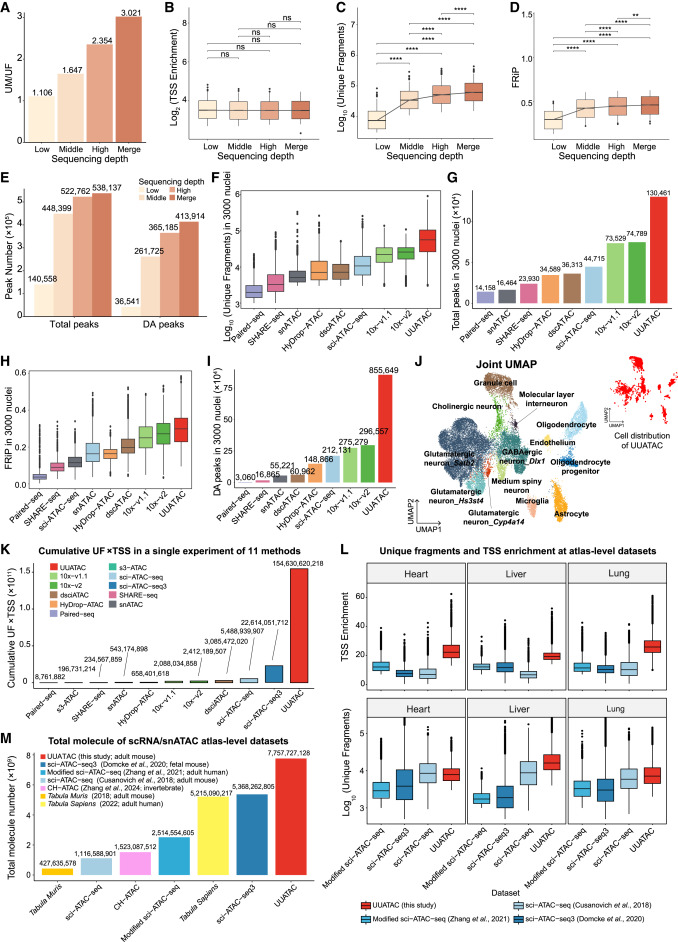 Cell | 超高通量UUATAC-seq+多任务NvwaCE模型！郭国骥/韩晓平团队破译脊椎动物染色质调控密码 - 知乎