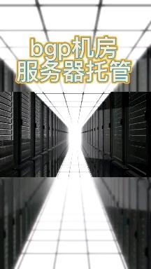 bgp服务器中转_国内bgp中转有什么用 bgp服务器中转_国内bgp中转有什么用「国内bgp中转是什么意思」 行业资讯