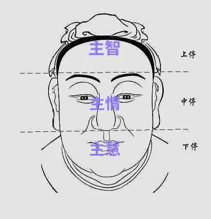 赚大钱的女人面相图片