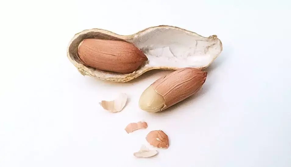 花生皮红色的那层是不是胆固醇高单位重量含胆固醇高是不是因为它很轻