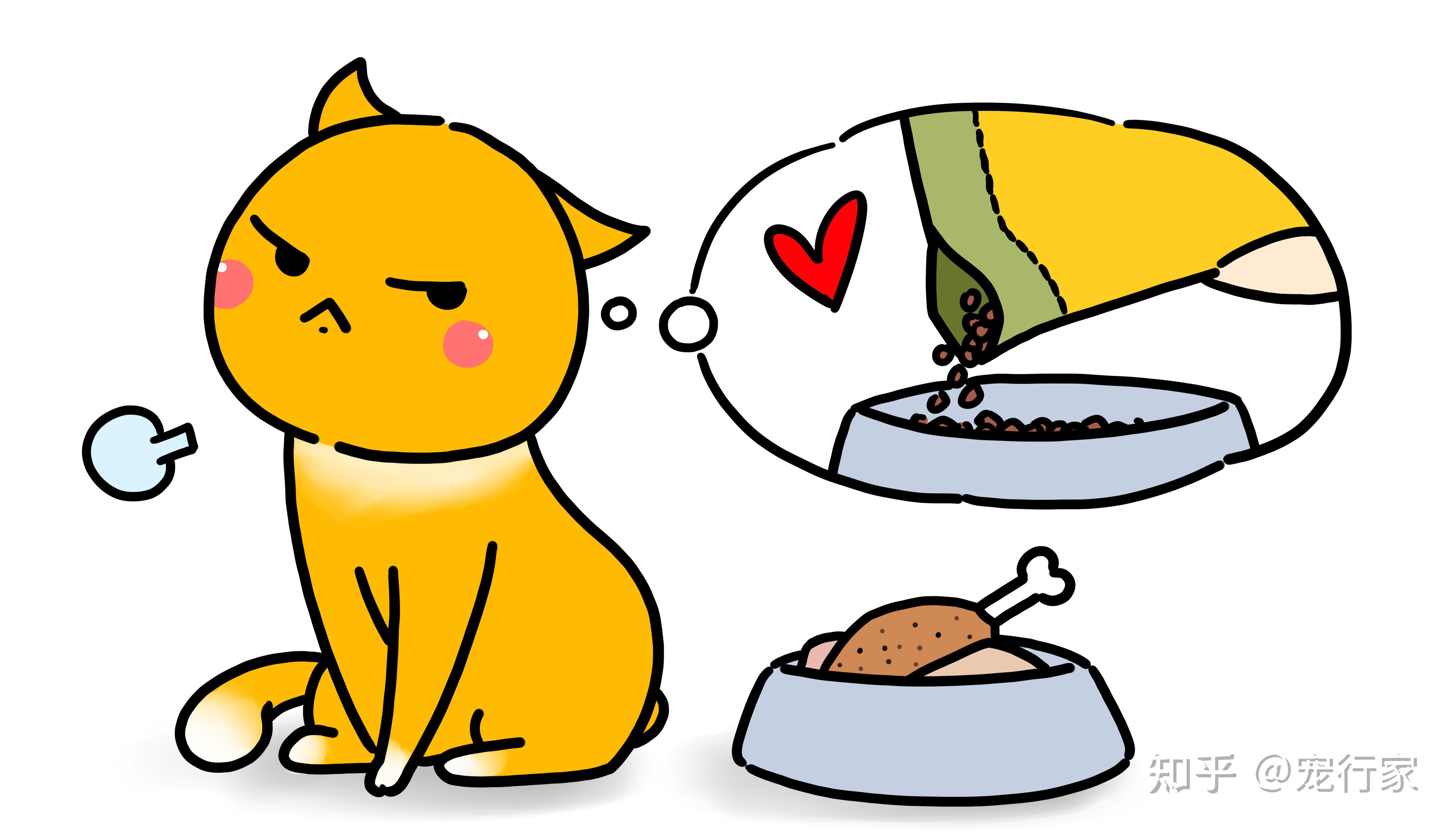 为什么我家的猫除了猫粮和罐头什么也不吃? - 知乎