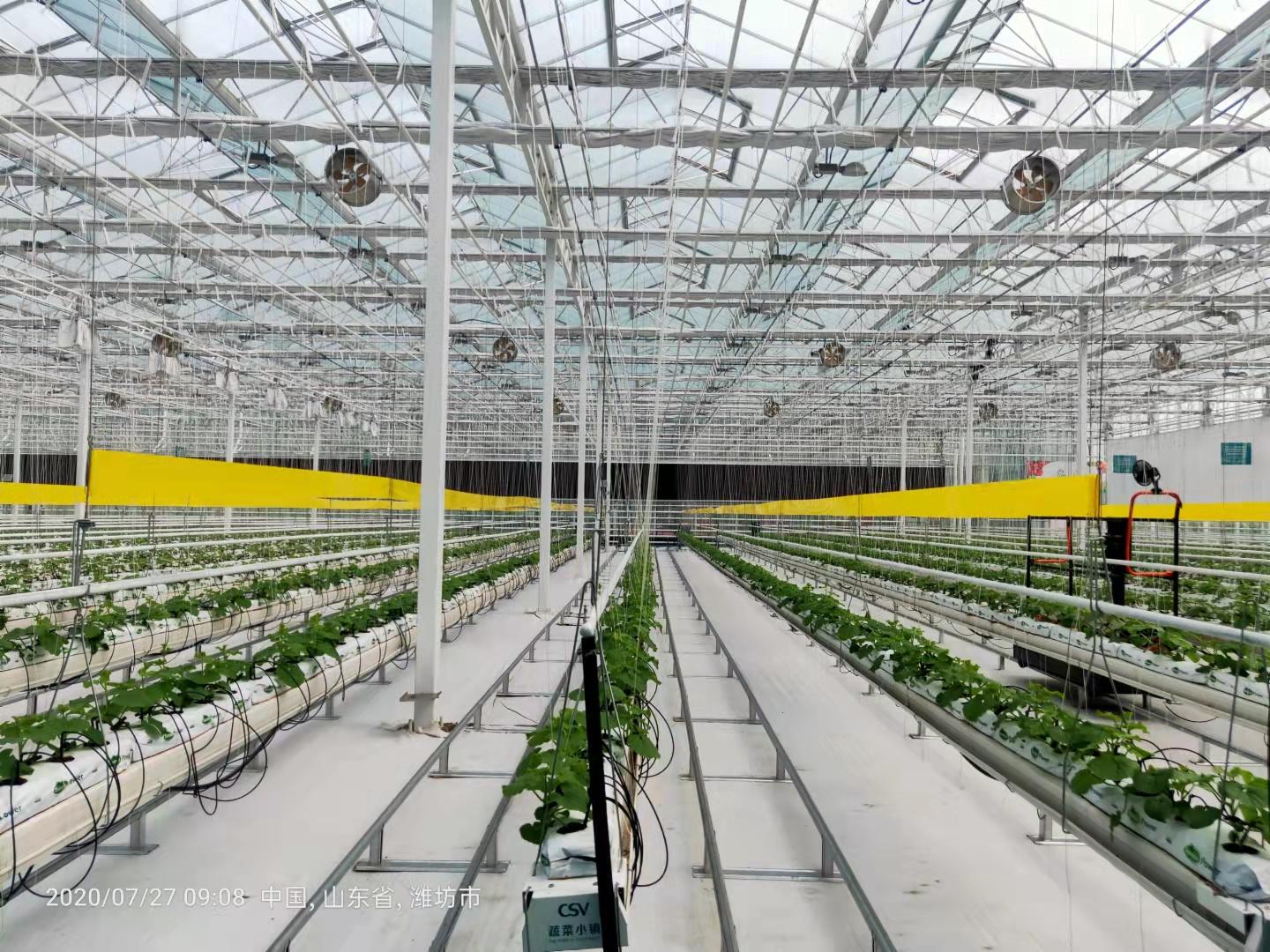 智能化光伏太阳能温室蔬菜,花卉大棚投入可行性? - 知乎