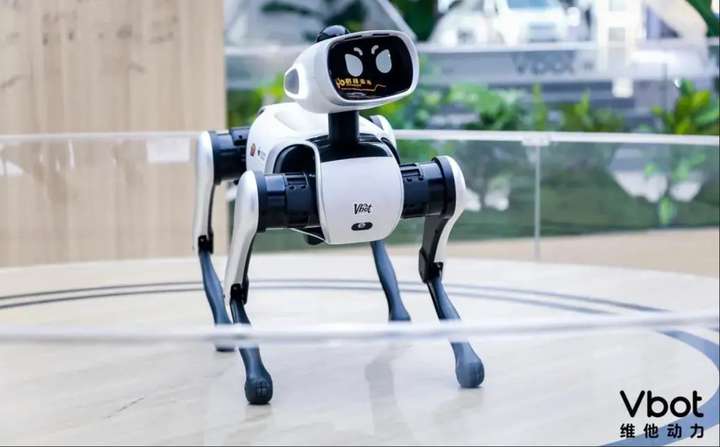 In-Depth Analysis of the Market Outlook and Investment Opportunities for Consumer Embodied Intelligence Products