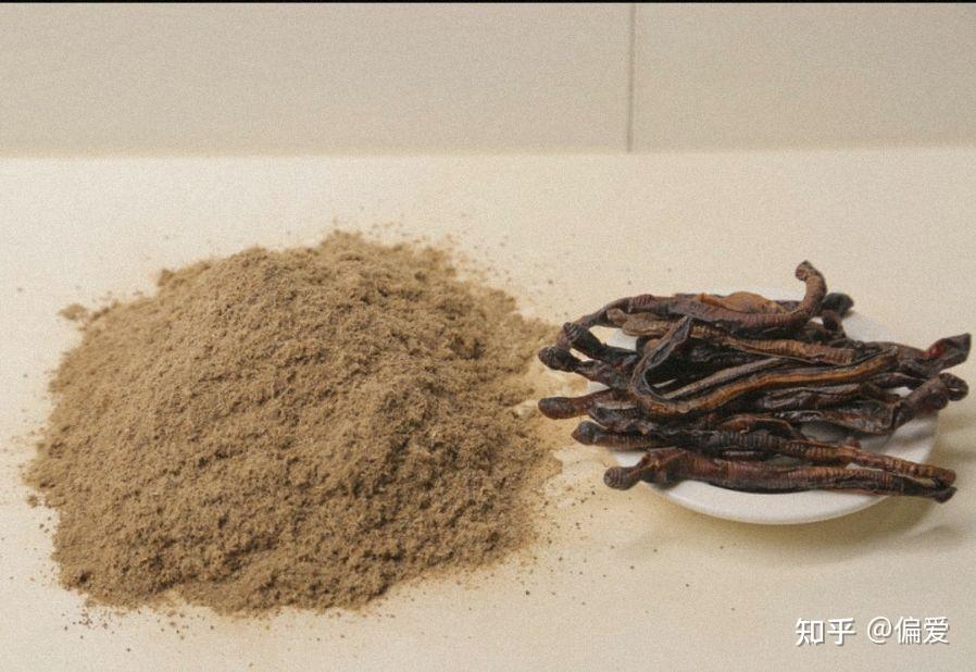 中药地龙蚯蚓粉普通地龙蛋白活性地龙蛋白单分子活性地龙蛋白有什么