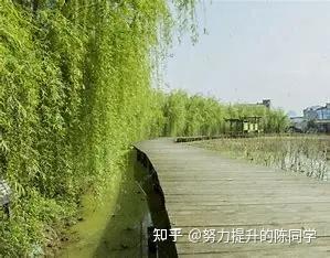 倾听与附和，两种聊天技巧 - 知乎