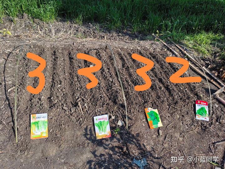 人，可以废物到什么程度？