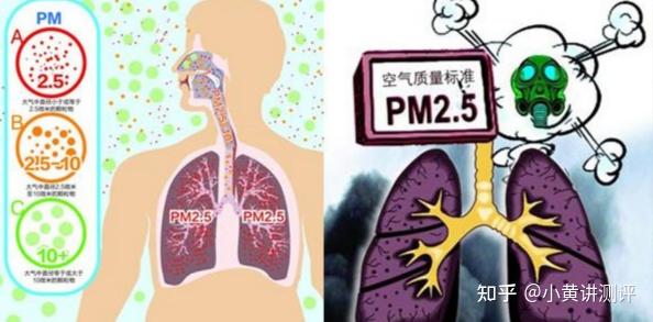 2026年除甲醛空气净化器怎么选?爆火品牌深度测评,告别智商税!