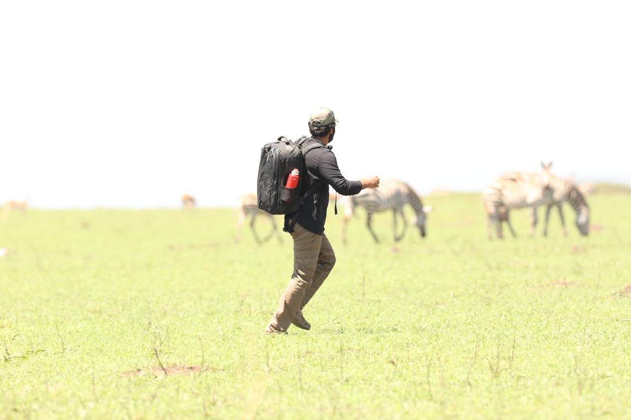 2. 装饰风格搭配