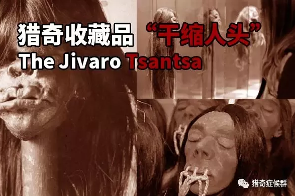 黑视界:猎奇收藏品"干缩人头"的前世今生