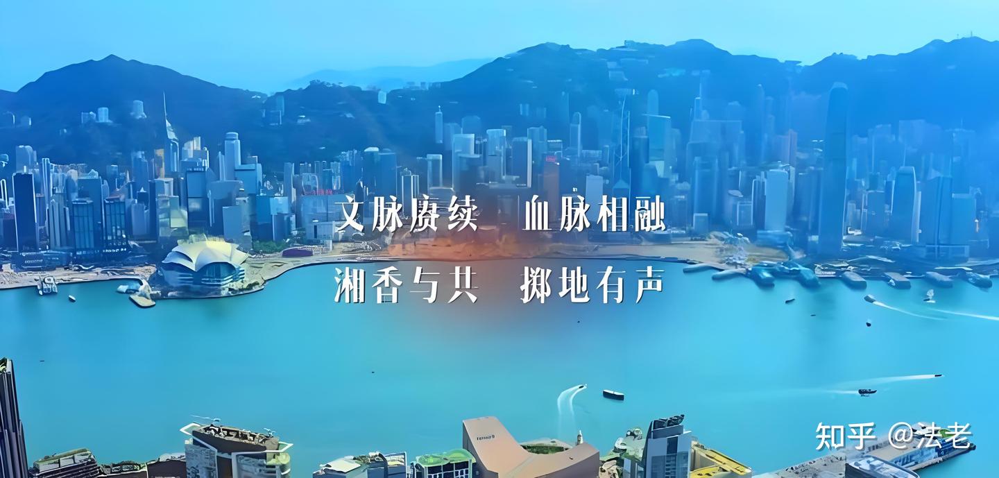 盘点2024年热度最高,反响最好的电视综艺榜单 - 知乎