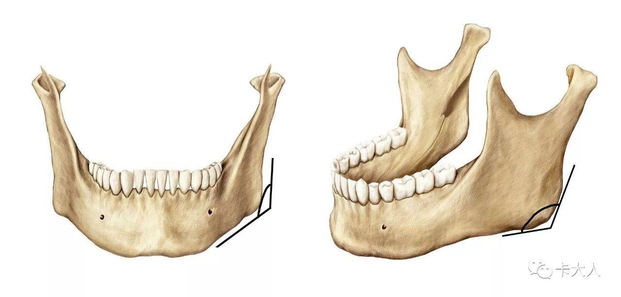 脸方下颌骨比较大的女生可以通过按摩瘦脸吗有没有科学依据吗