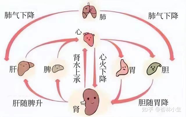 失眠可治?中医理论揭秘失眠原因与调理方法! - 知乎