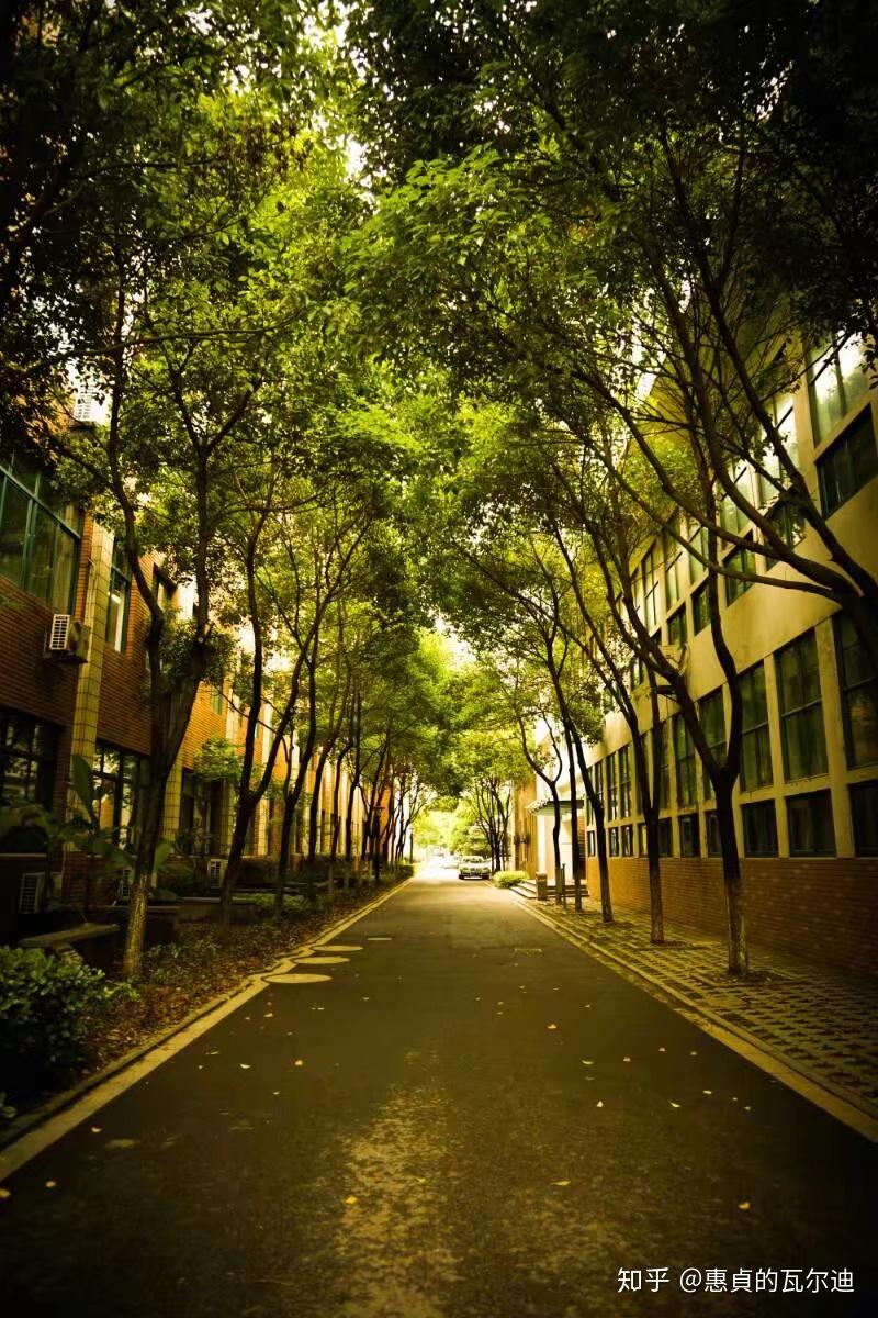 宁波市惠贞书院是一所怎么样的学校