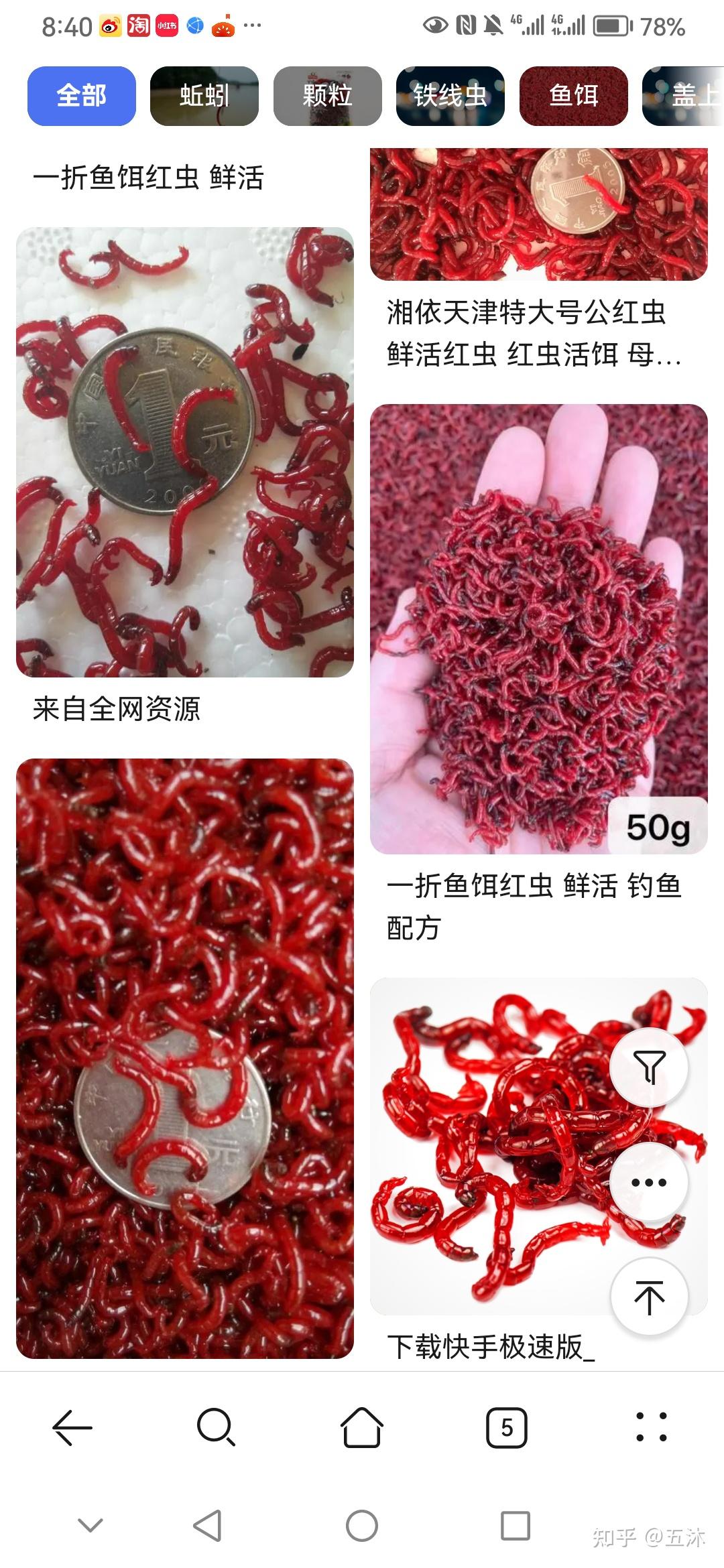 请教一下这是什么虫子,红色的跟蚯蚓一样,,不知道是不是猫吐出来的?