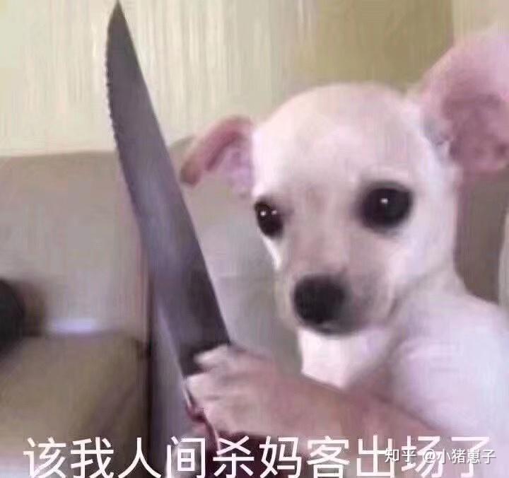 有没有人间杀妈客表情包?