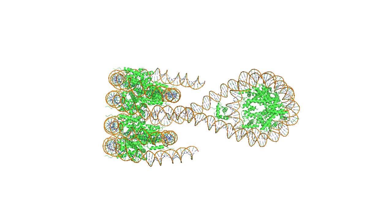 pymol3 做视频 - 知乎