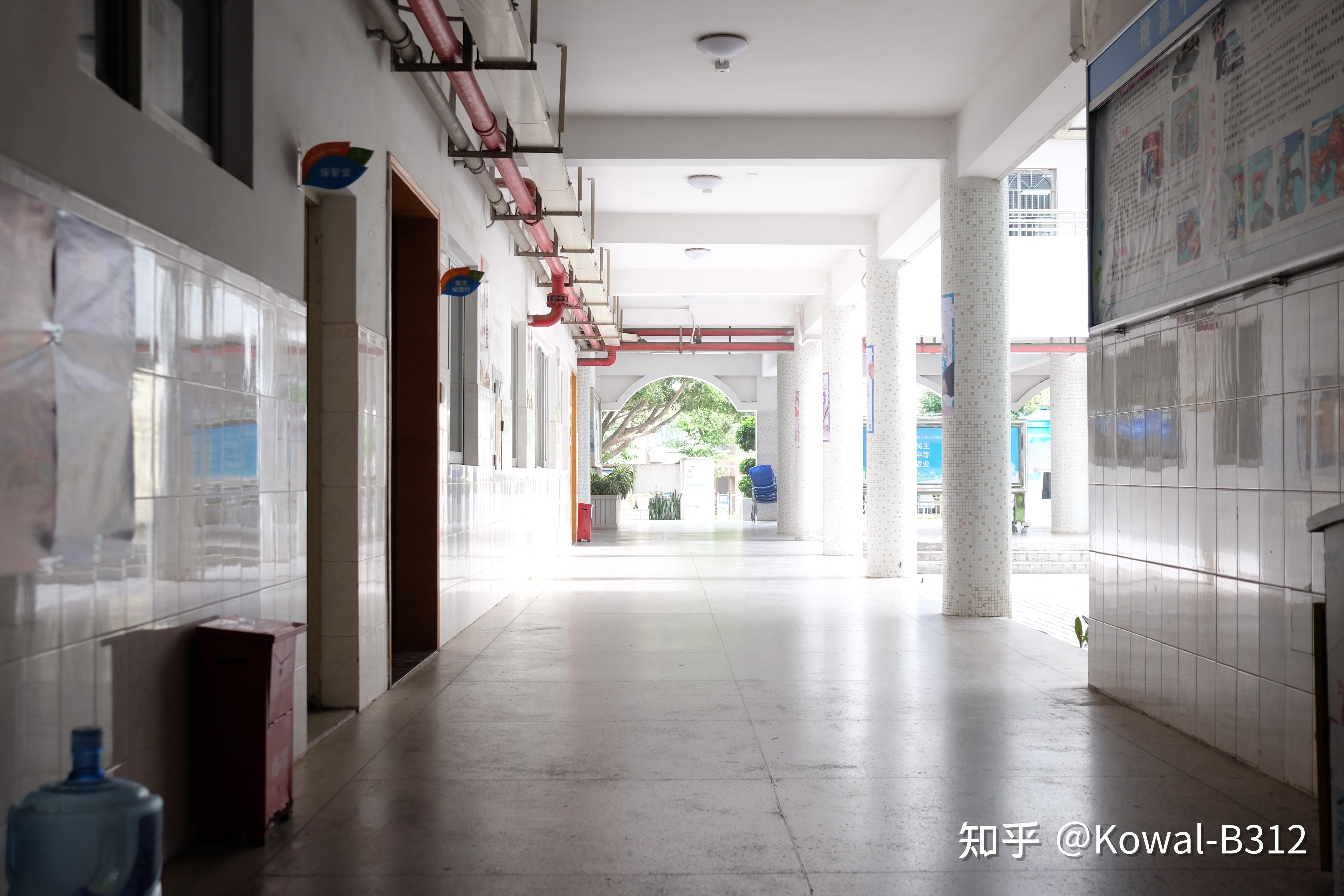 深圳市南山外国语学校(集团)桃源中学怎么样? - 知乎