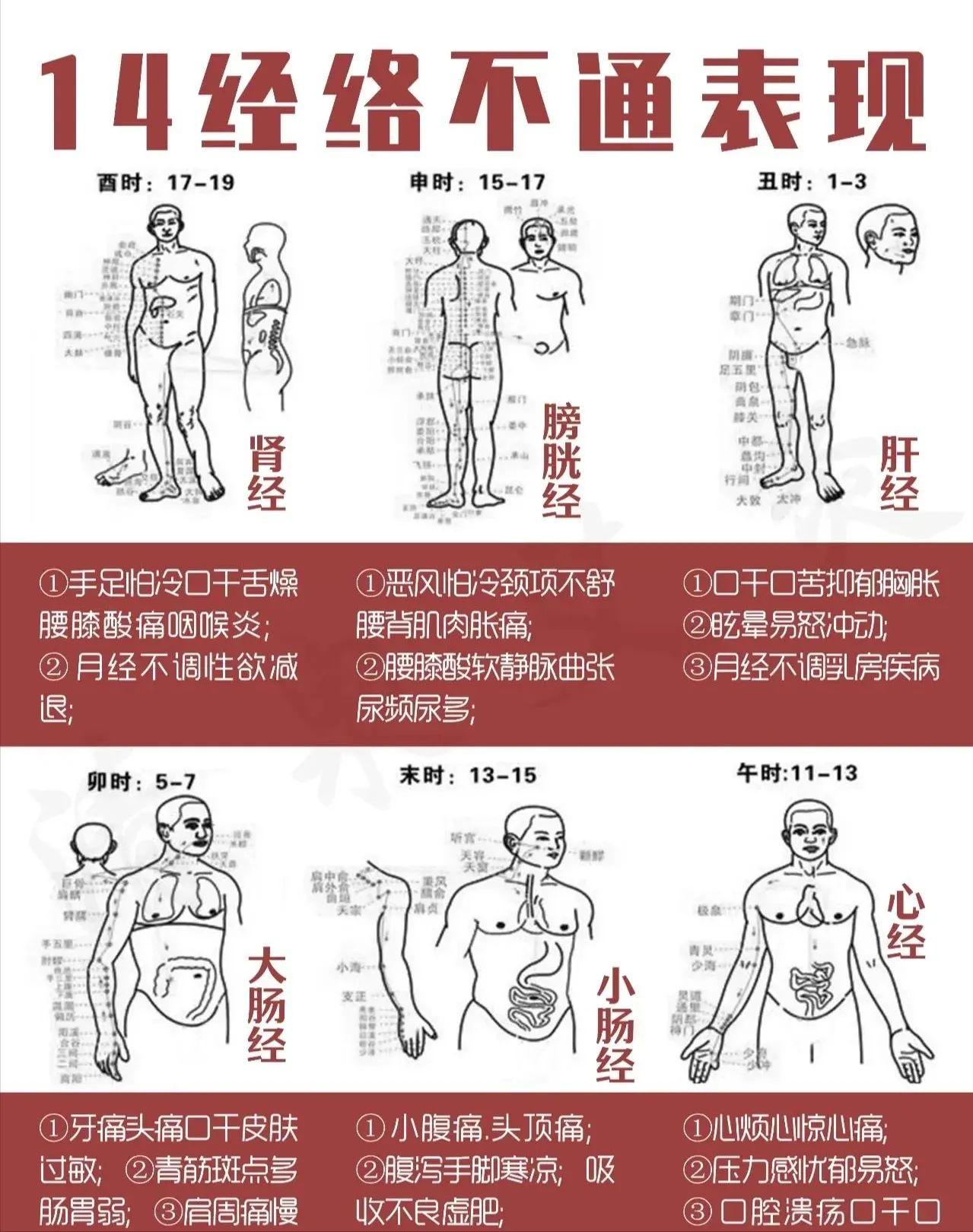 经络不通百病生! - 知乎