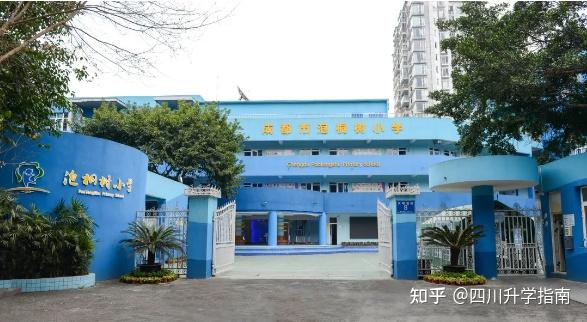 夸张！泡小桐乐校区开校，“隔壁”仅招到新生4人？青羊区6所“泡小”详解，你家娃能读到哪一所？ - 知乎