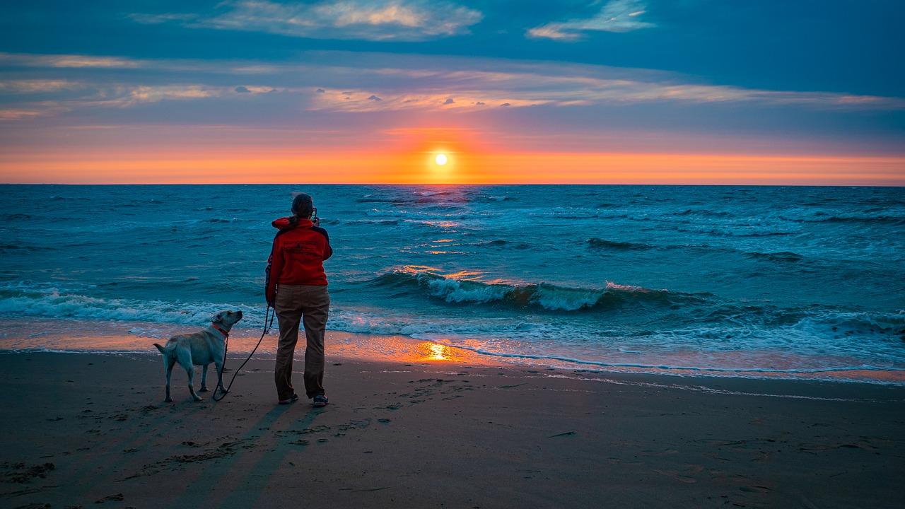 4. 交通出行分析