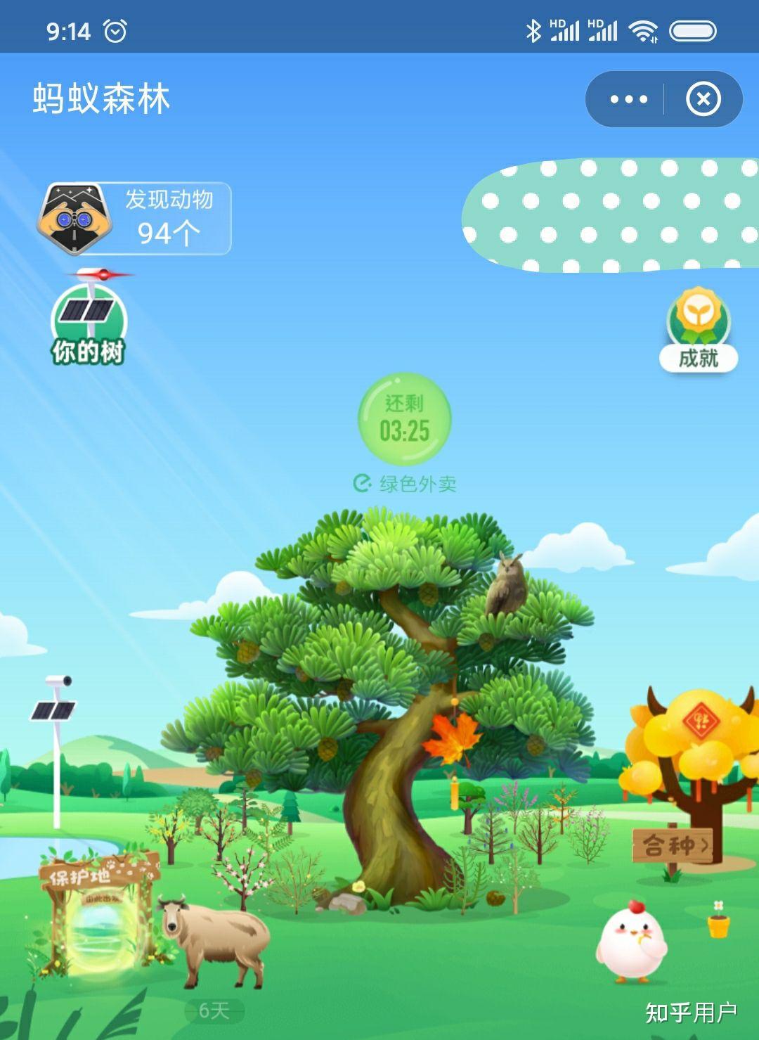 蚂蚁森林的个种树种全是什么样子的? - 知乎