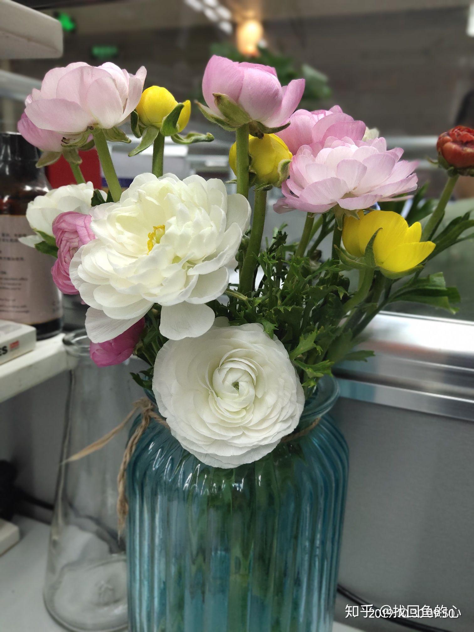 家里的放什么鲜花比较好呢