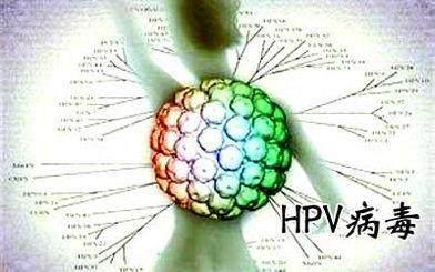 都安全hpv陽性是什麼意思hpv陽性一定會得宮頸癌嗎