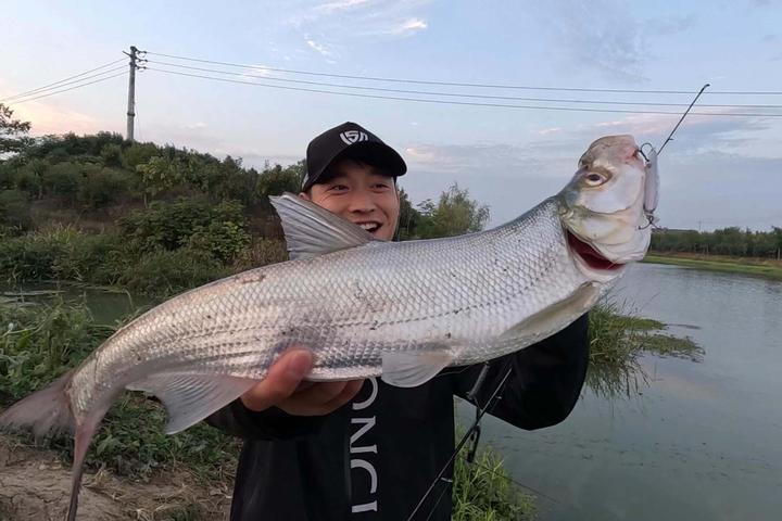 冬季如何钓翘嘴?冬季钓翘嘴的4个要领