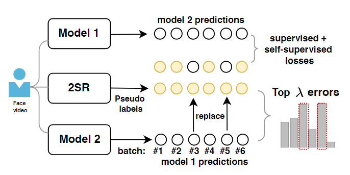 【rPPG论文阅读】Contactless Pulse Estimation Leveraging Pseudo Labels and ...