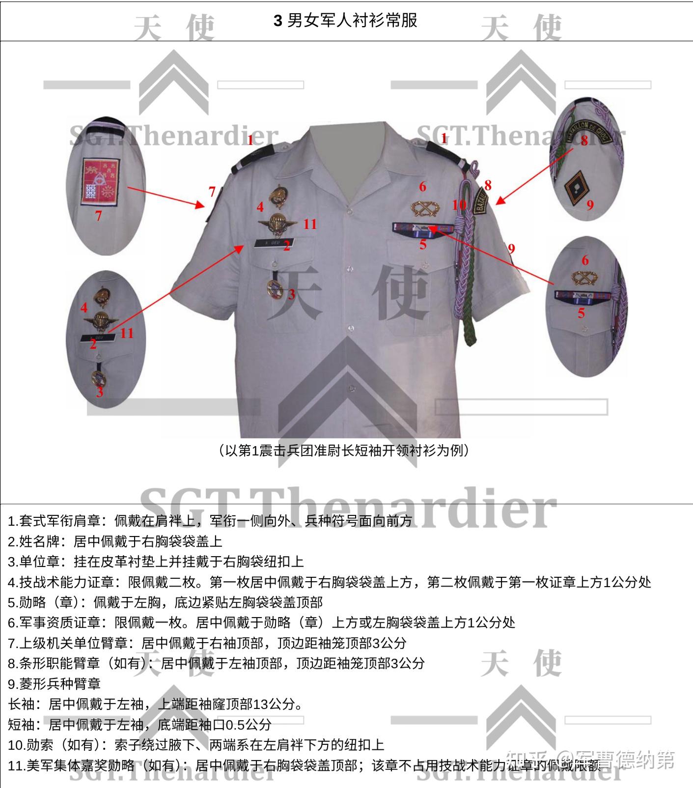 现役法国陆军各兵种配饰识别手册- 知乎