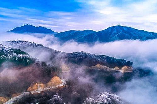 大別山土特產商城要來了趕緊入駐