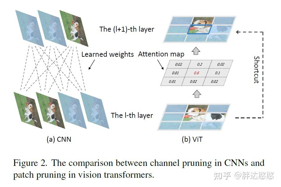 [ViT轻量化论文1]Patch Slimming for Efficient Vision Transformers - 知乎