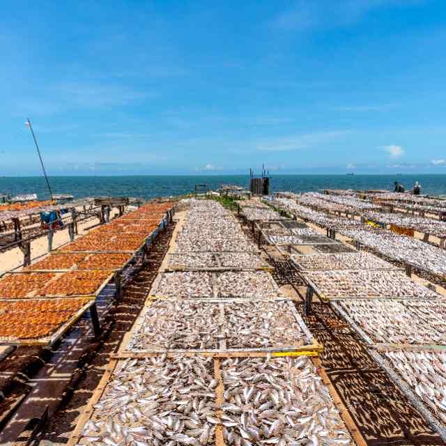 古代穷人为什么不搬到海边去？海边鱼多不是饿不死吗？