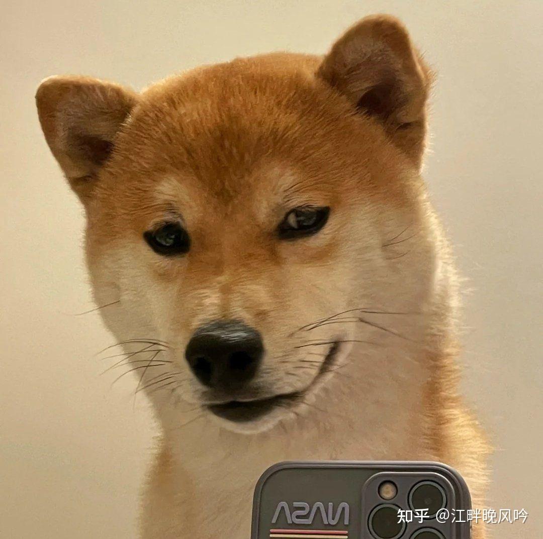 男朋友要了我的网易云账号创建了他的歌单我觉得隐私