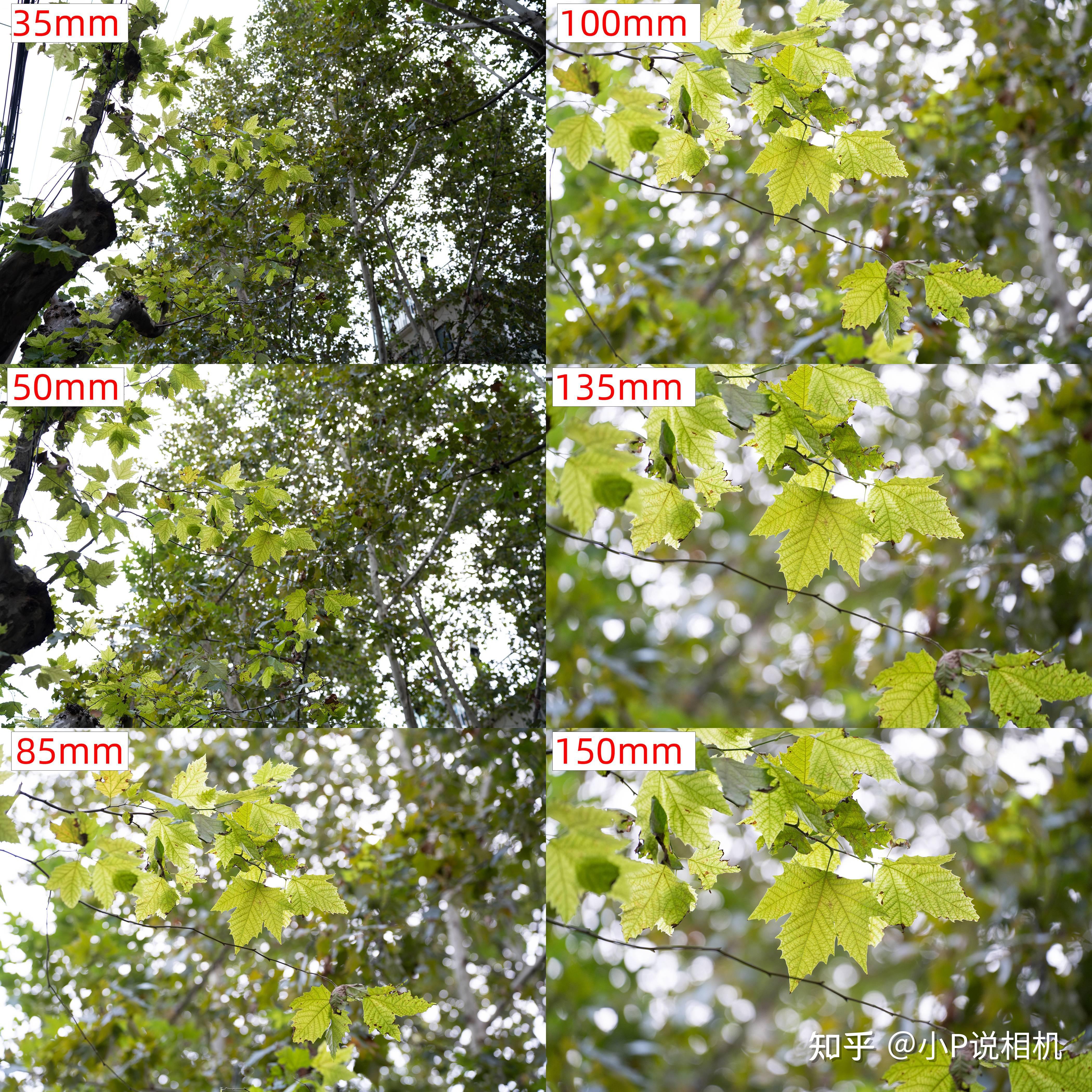 TAMRON收購鏡頭