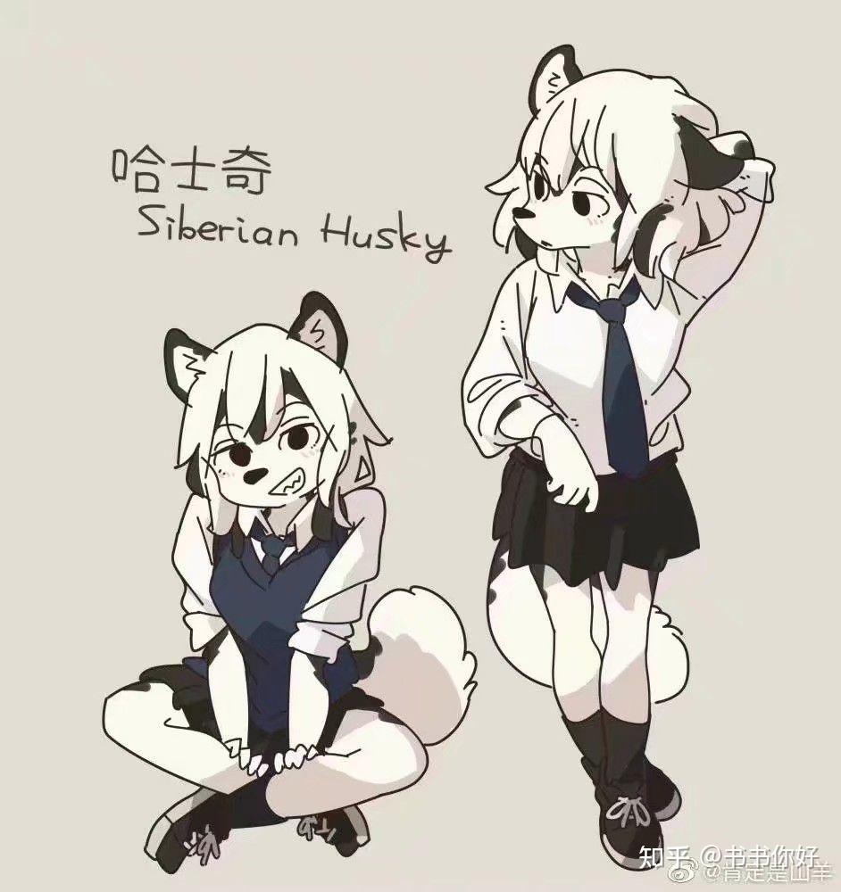 为什么猫娘和兔娘是常见的二次元萌属性而很少有犬娘