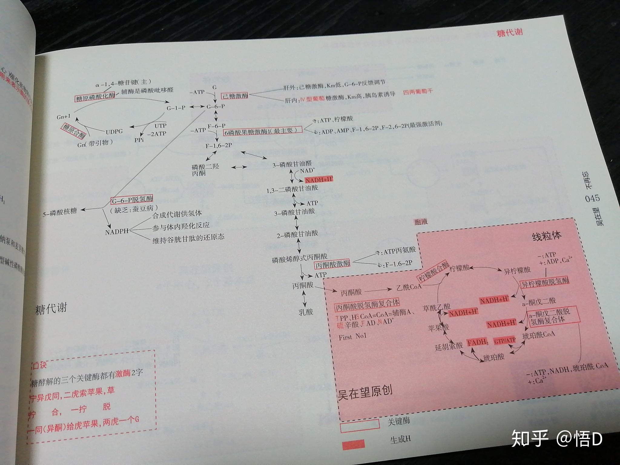 吴在望的思维导图在哪里可以买到? - 知乎