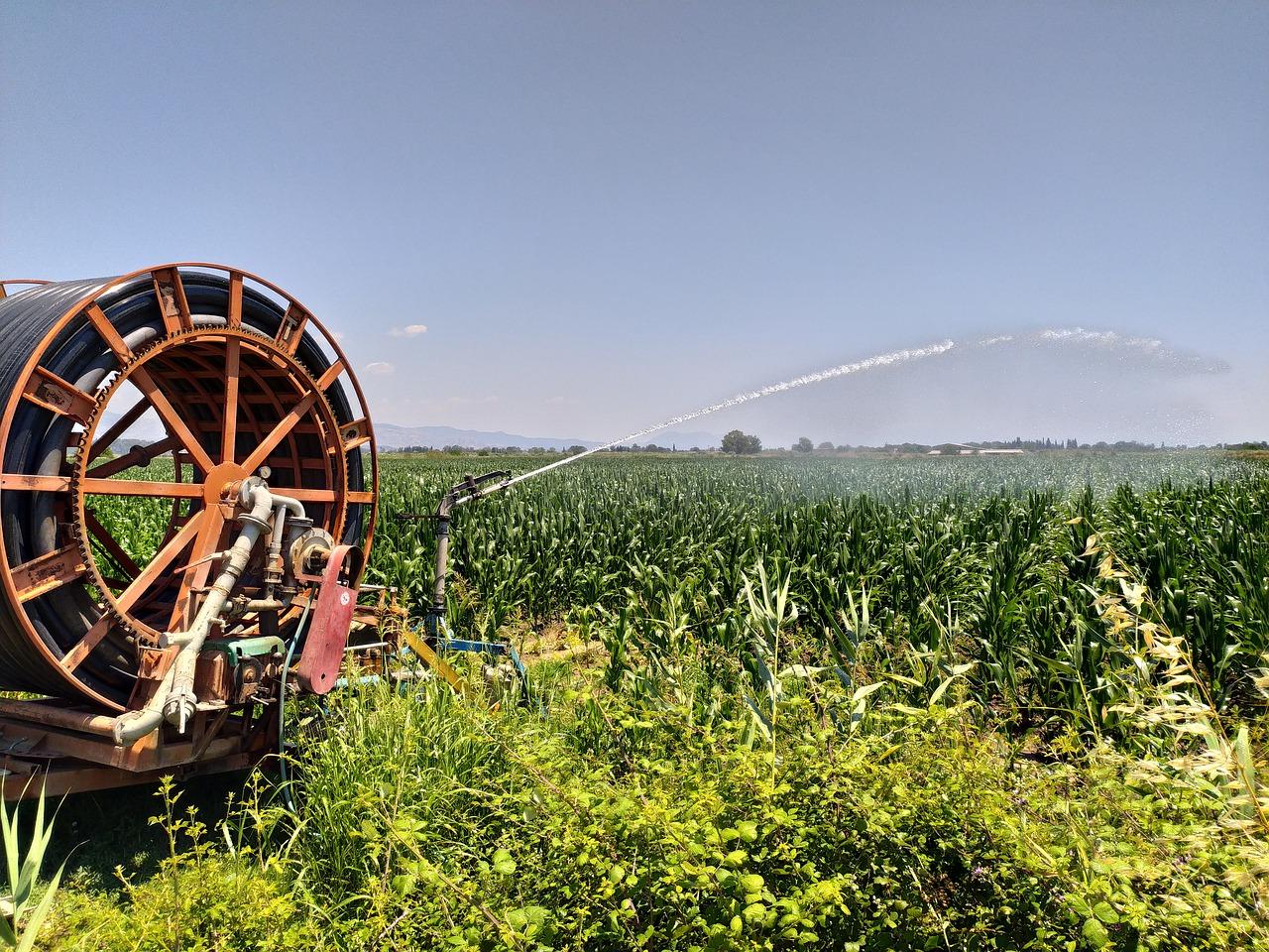 玉树花如何施肥