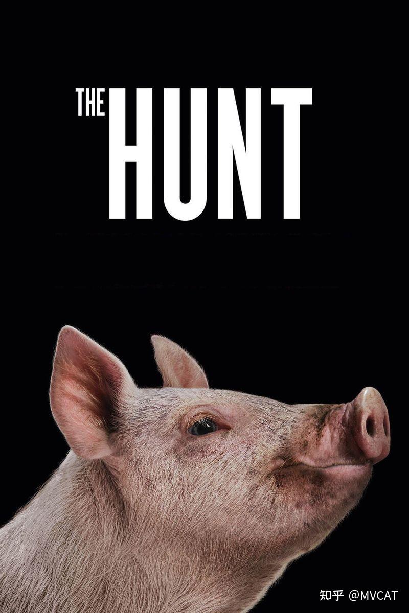 100部人性实验电影推荐- 知乎