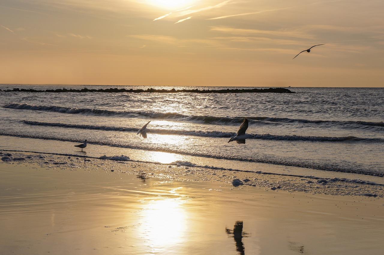 2. 户型设计亮点