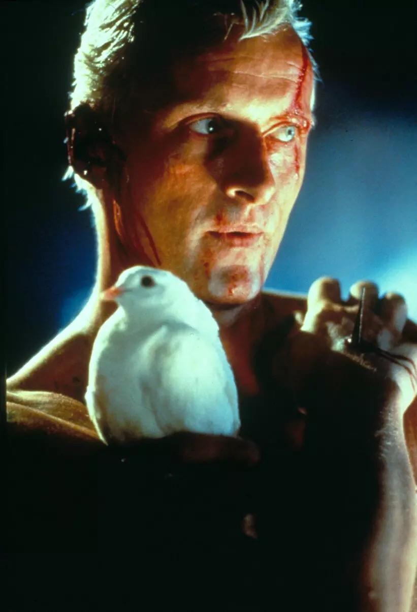 《银翼杀手》中人造人最后的独白表达的是什么意思?