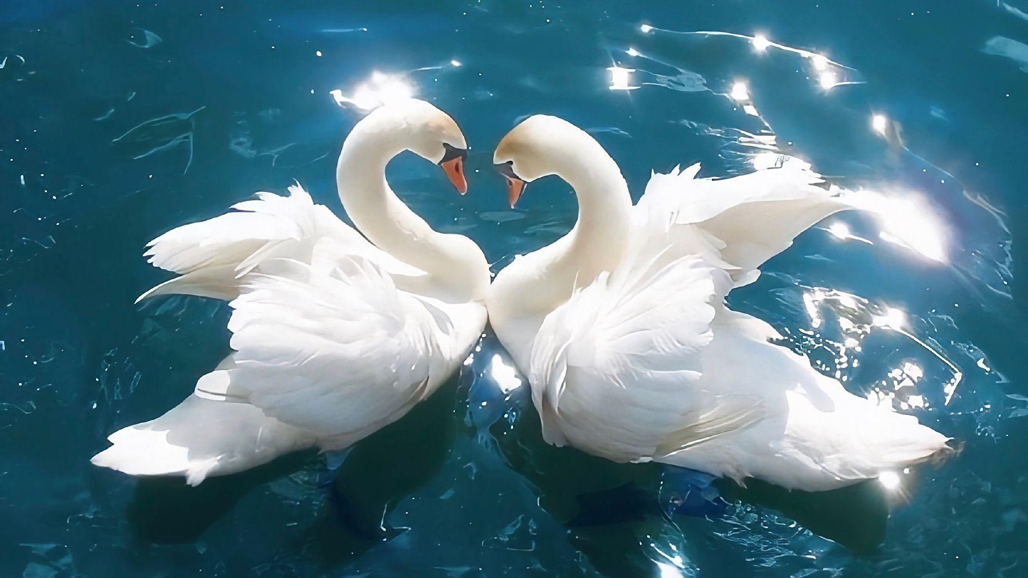 有么有什么壁纸能让ipad横屏和竖屏都合适?