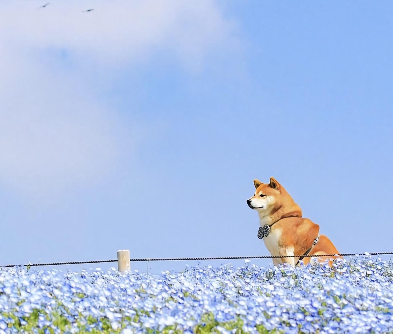 有没有什么惊艳的微信头像?-特别惊艳到人的微信头像