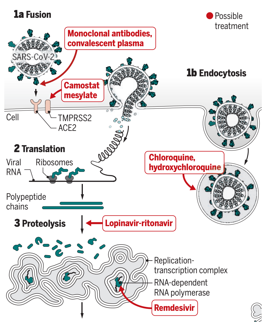 如何看待美股吉利德科学盘中大跌暂停交易报道称瑞德西