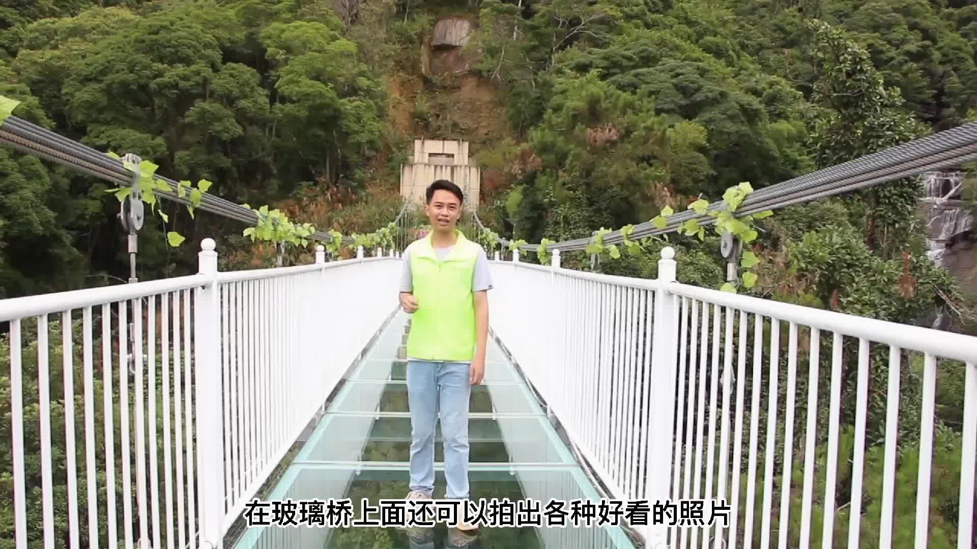 高州仙人洞玻璃桥图片