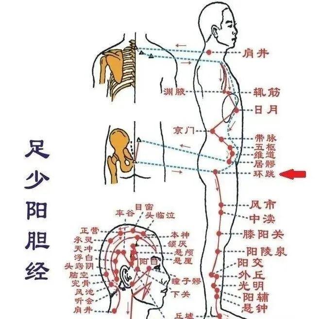 古法经络上可治到腰下可治到脚看看这个神奇的穴位