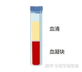 血液样本处理全攻略——血清、血浆制备及保存时间的影响 - 知乎