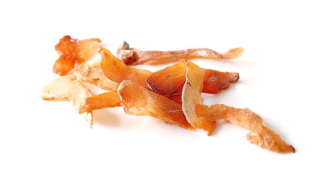 海苔什么牌子的好